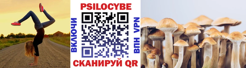 Галлюциногенные грибы Cubensis Вилючинск