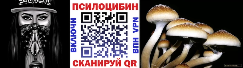 Купить где Вилючинск Псилоцибиновые грибы Cubensis